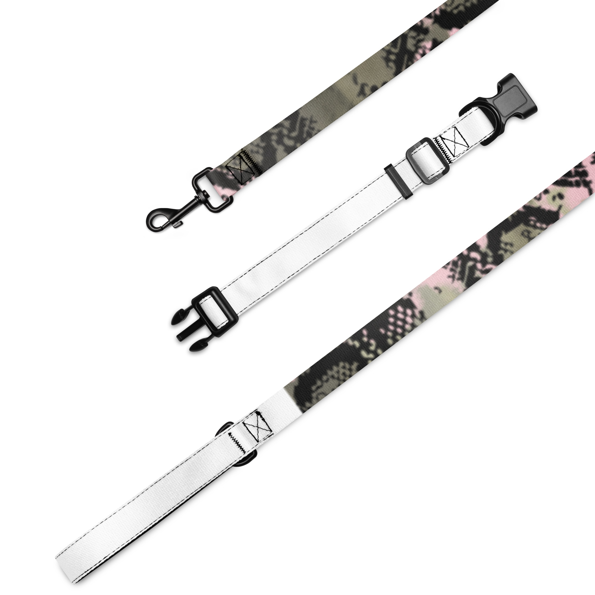 Pet collar & leash